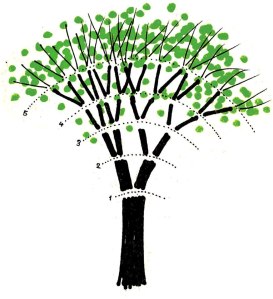 7233b98f941e7bed59265fb360d69b9c